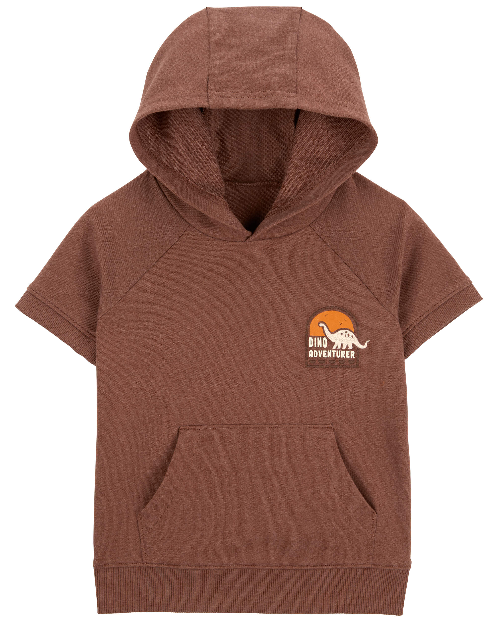 Toddler Hooded Dino Adventure Pullover
