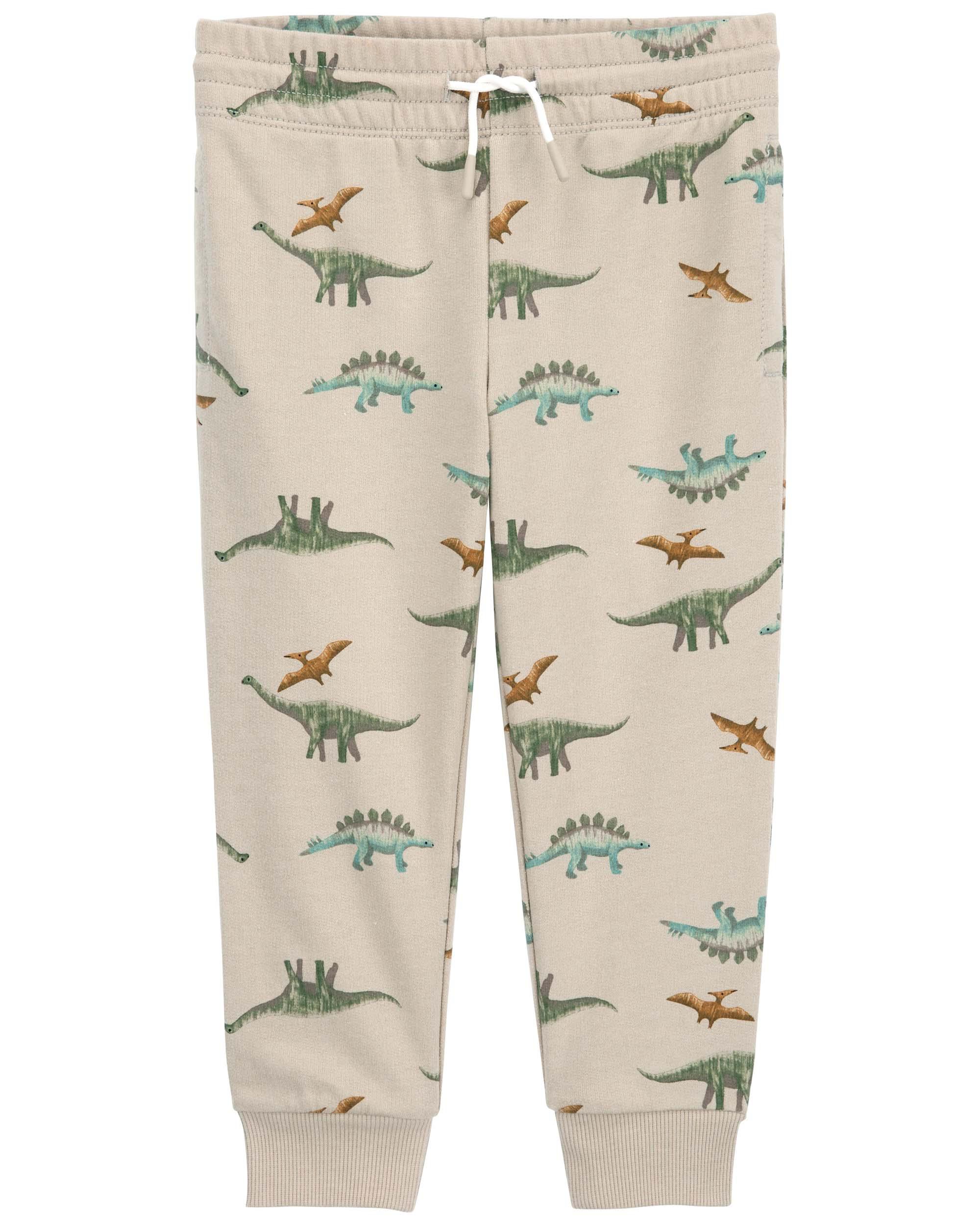 Multi Dinosaur Pull-On French Terry Joggers