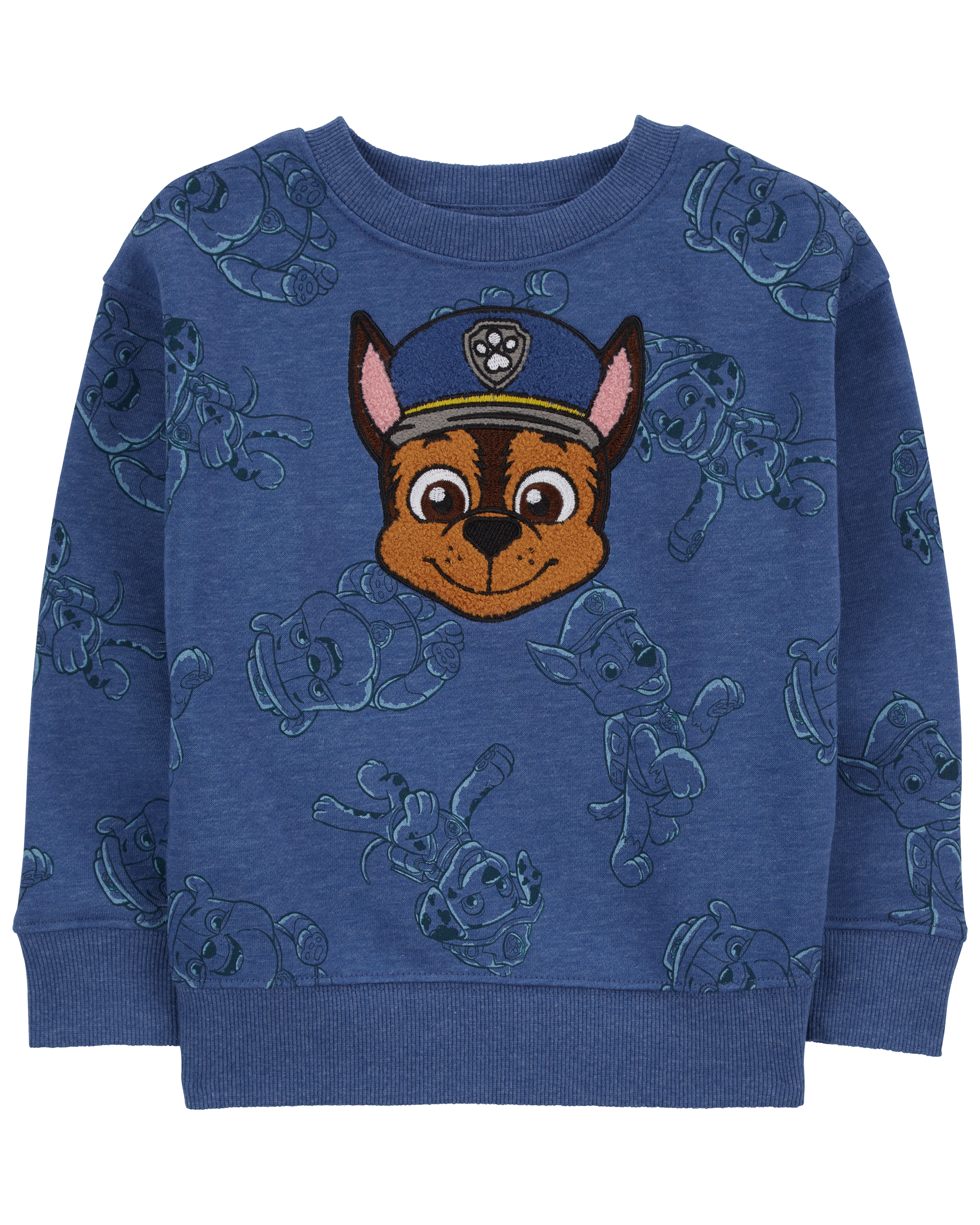 Paw patrol skye on sale sweatshirt